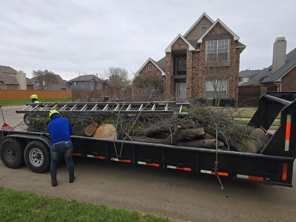 Expert Tree Fertilization with proper safety equipment in Una